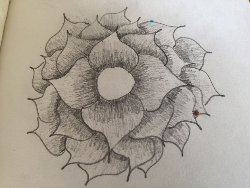 I Spent Most Of My Free-Time Watching Television, Now I Draw, Sketch, And Paint.