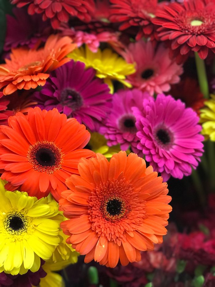 I Created This Using Picsart