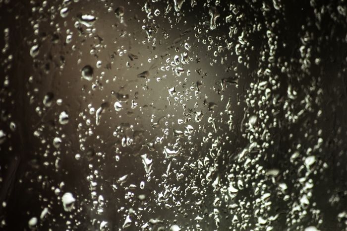 I Recently Picked Up Photography. This Are Some Of My Pictures.