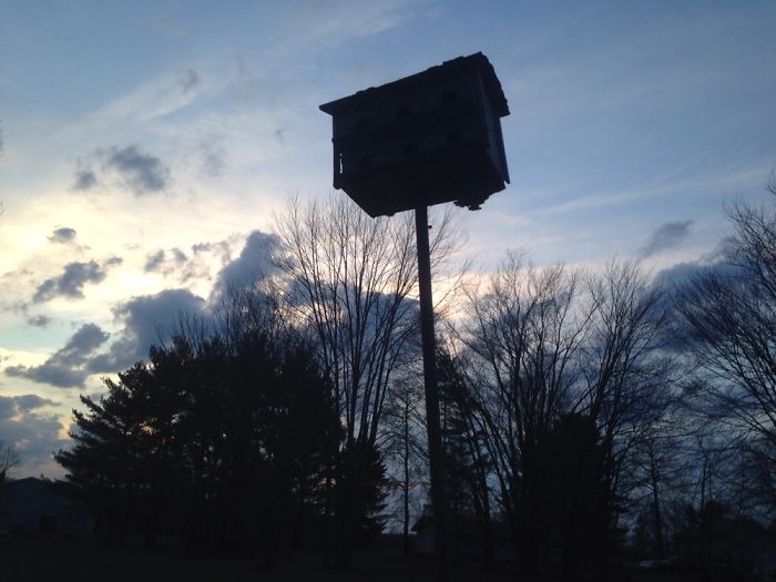 Activities For The Day