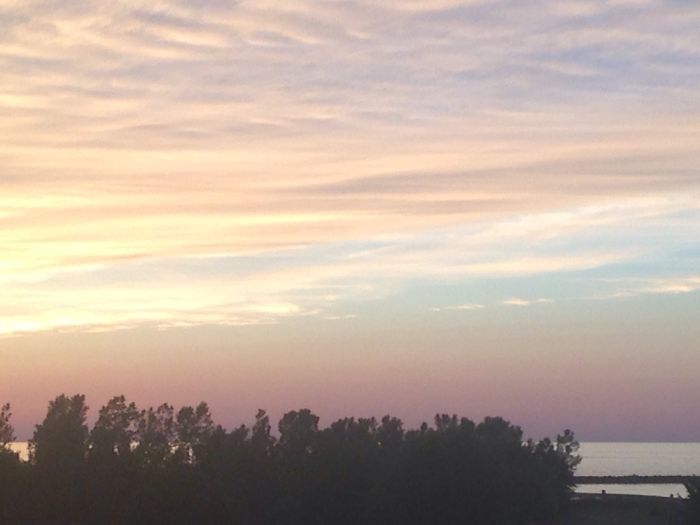 Activities For The Day