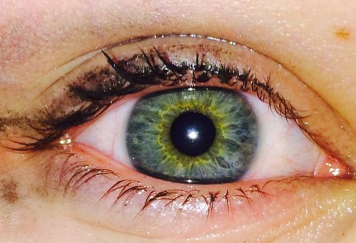 Inner Selves Inner Selves