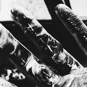 barbarita8115 avatar