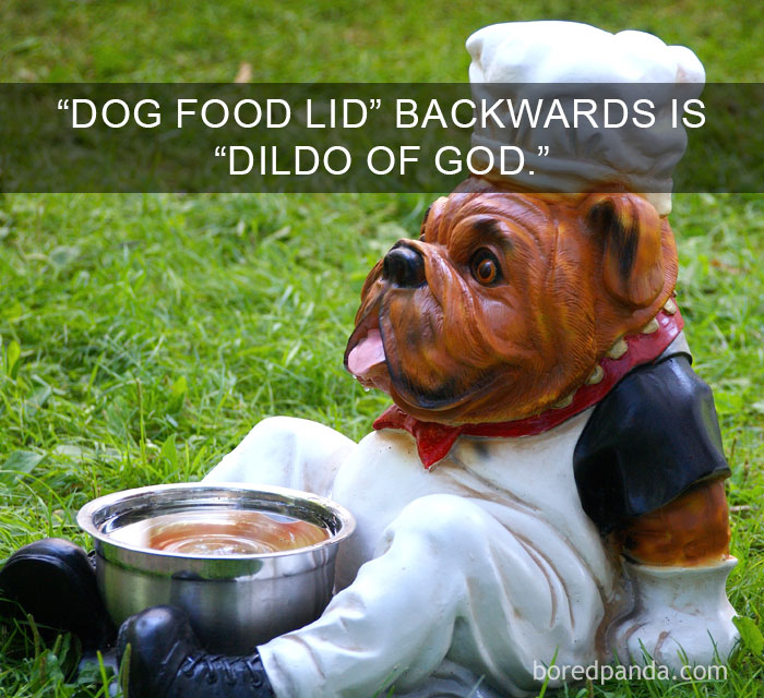 Ceramic dog chef figurine with food bowl outdoors illustrating amazing facts that change the way you see the world.
