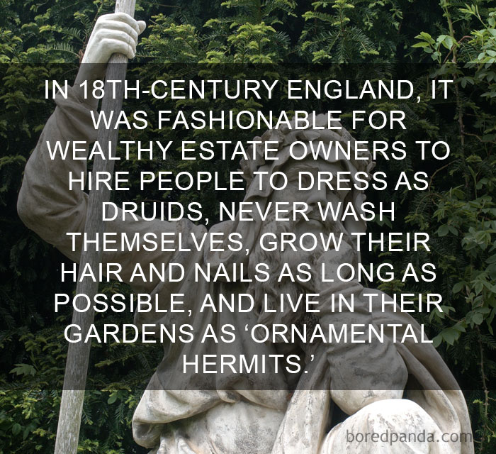 Stone statue of a garden hermit with staff surrounded by greenery, illustrating amazing facts that change the way you see the world.