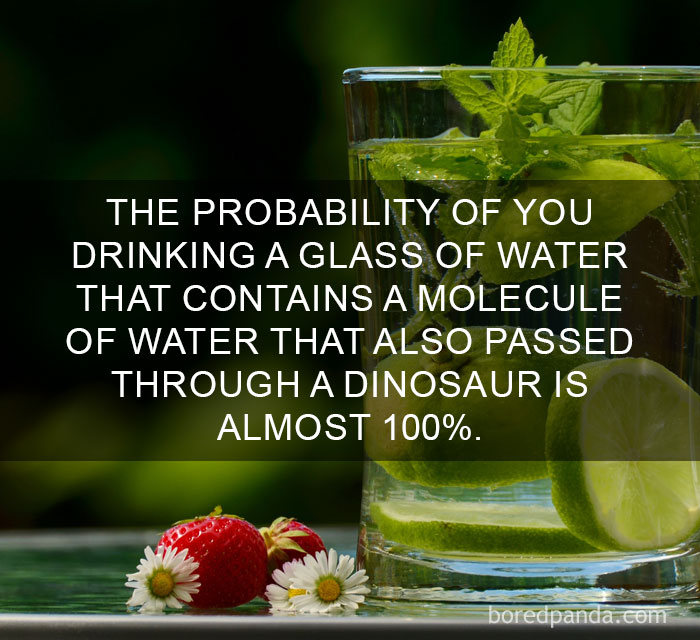 Glass of water with lime and mint, illustrating amazing facts about water molecules from the world’s history.