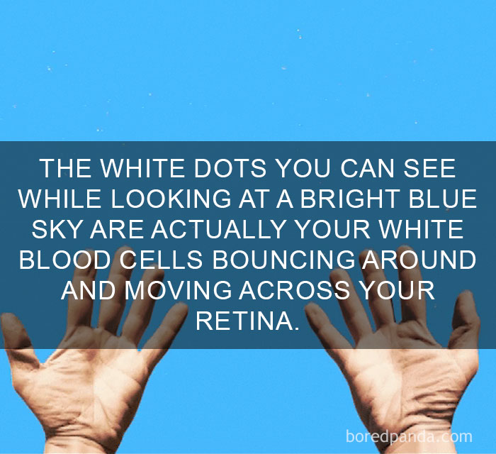 Hands reaching toward a bright blue sky with white dots illustrating amazing facts about how white blood cells move across the retina.