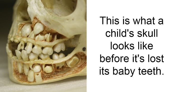 81 Amazing Facts That Will Change The Way You See The World