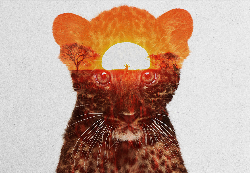 I Combine Animals And Landscapes In My Double Exposure Artwork
