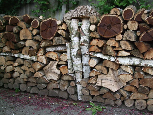 Compost John's Arty Logpile #1