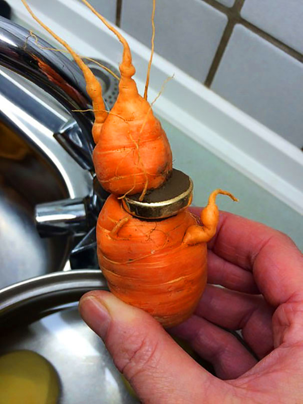 lost-wedding-ring-carrot-germany-3 lost-wedding-ring-carrot-germany-3