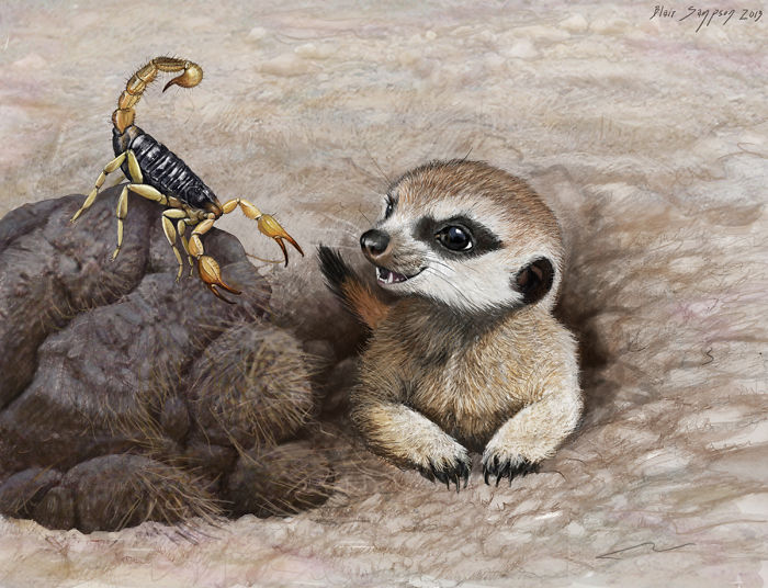 Realistic-animal-drawings-psithyrus-blair-sampson