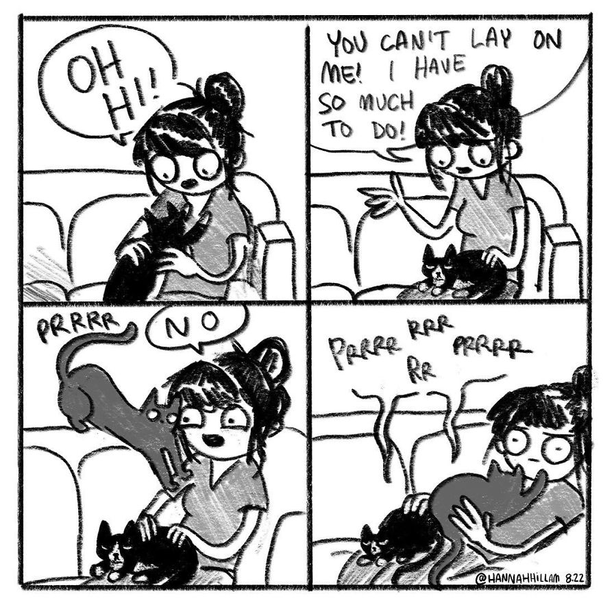 Modern-cat-lady-comics-hannah-hillam