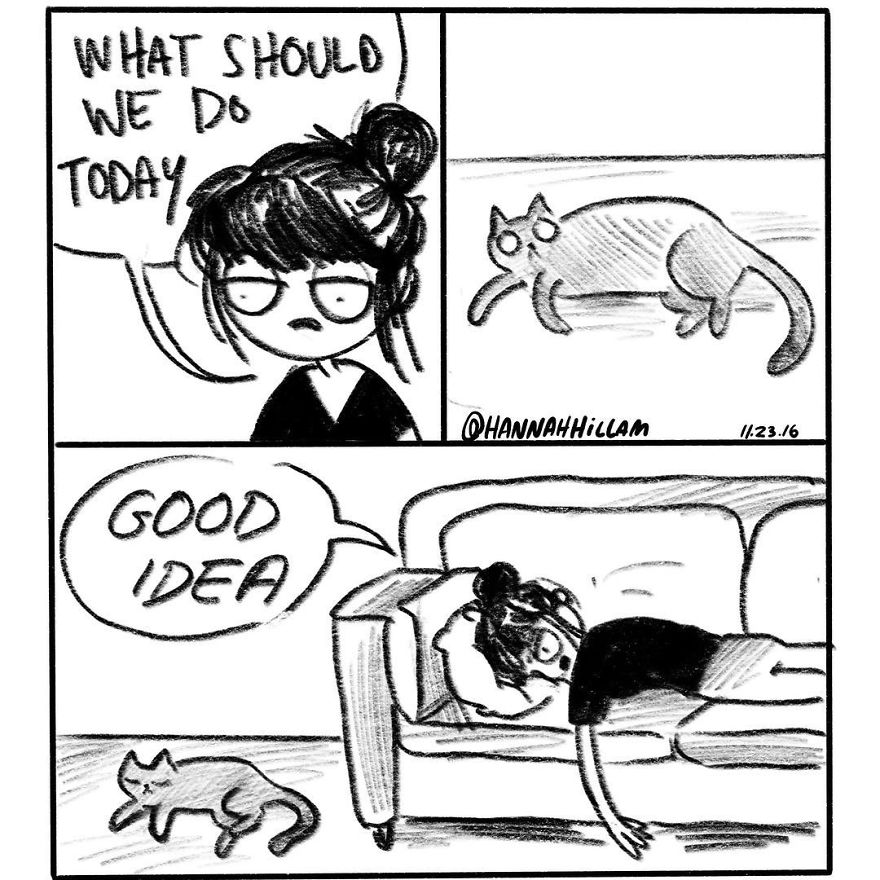 Modern-cat-lady-comics-hannah-hillam