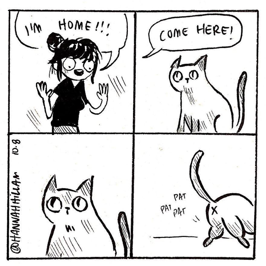 Modern-cat-lady-comics-hannah-hillam