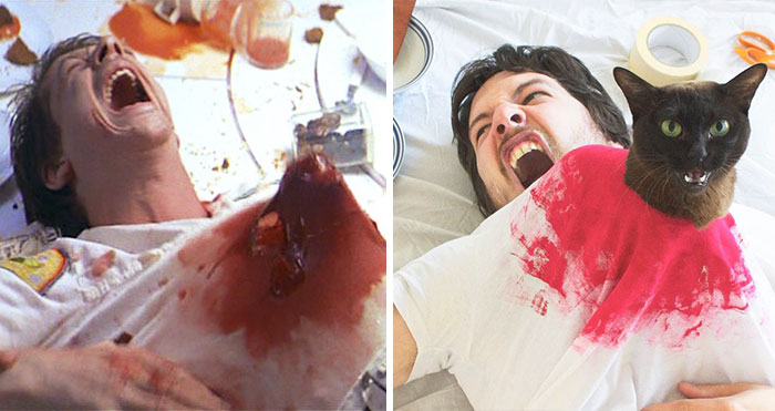 Esta pareja recrea famosas escenas de películas junto a sus gatos