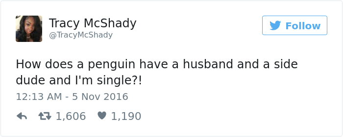 penguin-fights-homewrecker-cheating-wife-13 penguin-fights-homewrecker-cheating-wife-13