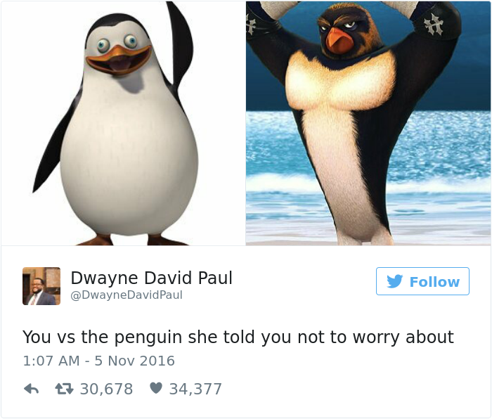 penguin-fights-homewrecker-cheating-wife-14 penguin-fights-homewrecker-cheating-wife-14