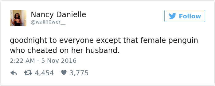 penguin-fights-homewrecker-cheating-wife-7