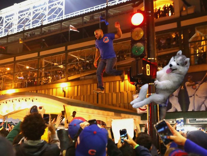 Just Another Cubs Bro.