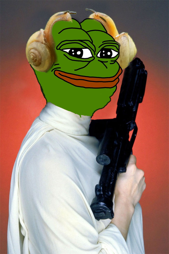 Not The Princess You Were Looking For...