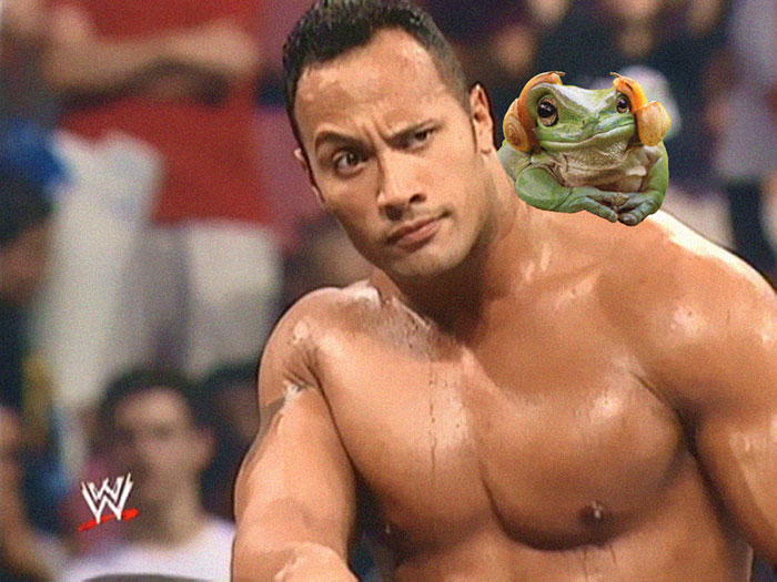 Know Your Role And Shut Your Mouth