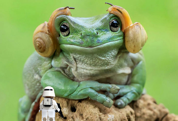 Aren't You A Little Short?