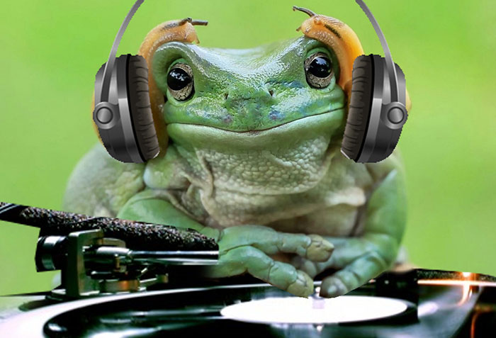 Dj Frog