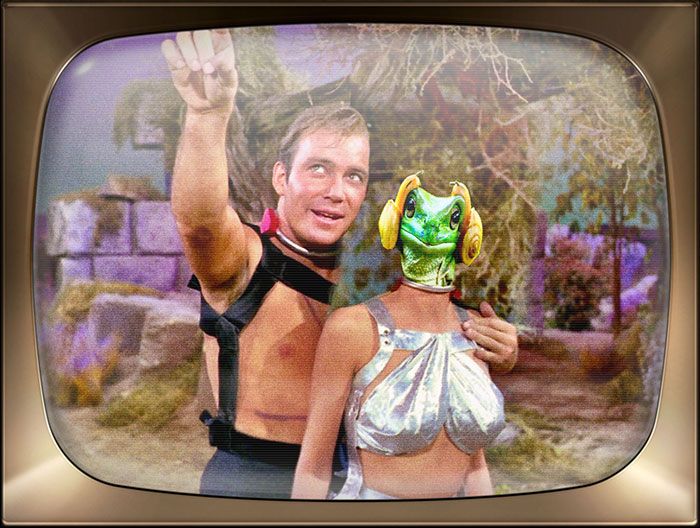 Captain Kirk Always Gets The Girl