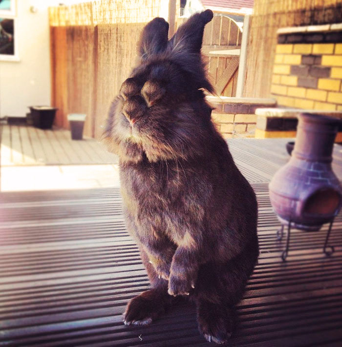 Something Smells Fishy