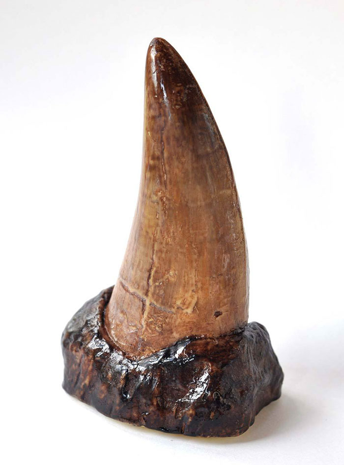 realistic-chocolate-sculptures-edible-museum-sarah-hardy-1 realistic-chocolate-sculptures-edible-museum-sarah-hardy-1