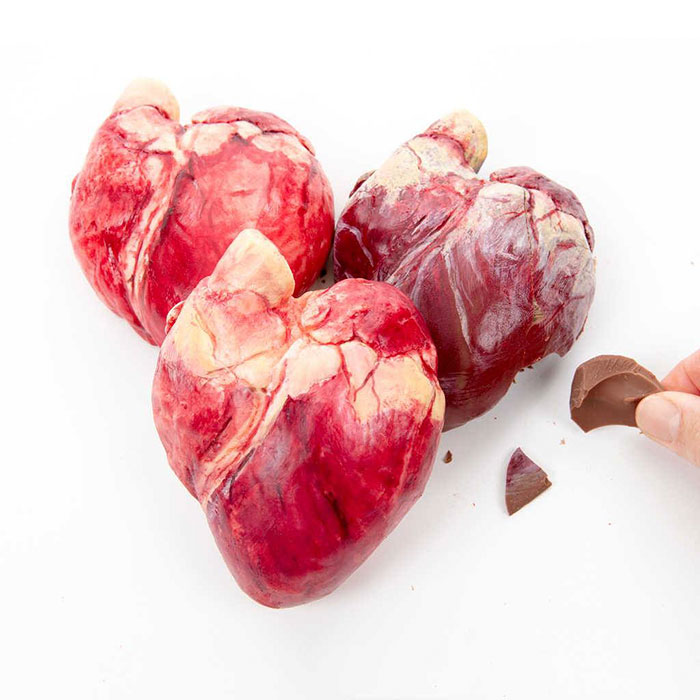 realistic-chocolate-sculptures-edible-museum-sarah-hardy-21 realistic-chocolate-sculptures-edible-museum-sarah-hardy-21