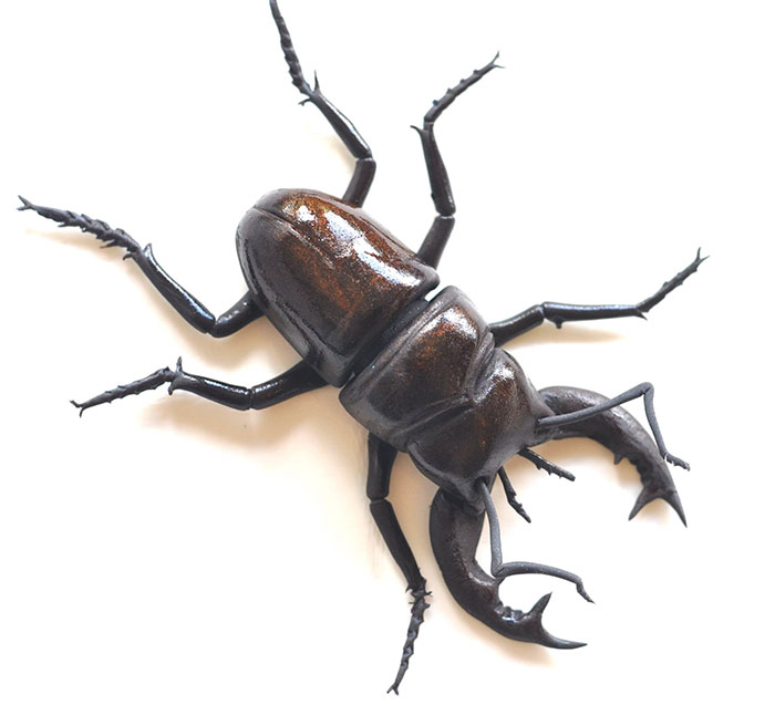 realistic-chocolate-sculptures-edible-museum-sarah-hardy-5 realistic-chocolate-sculptures-edible-museum-sarah-hardy-5