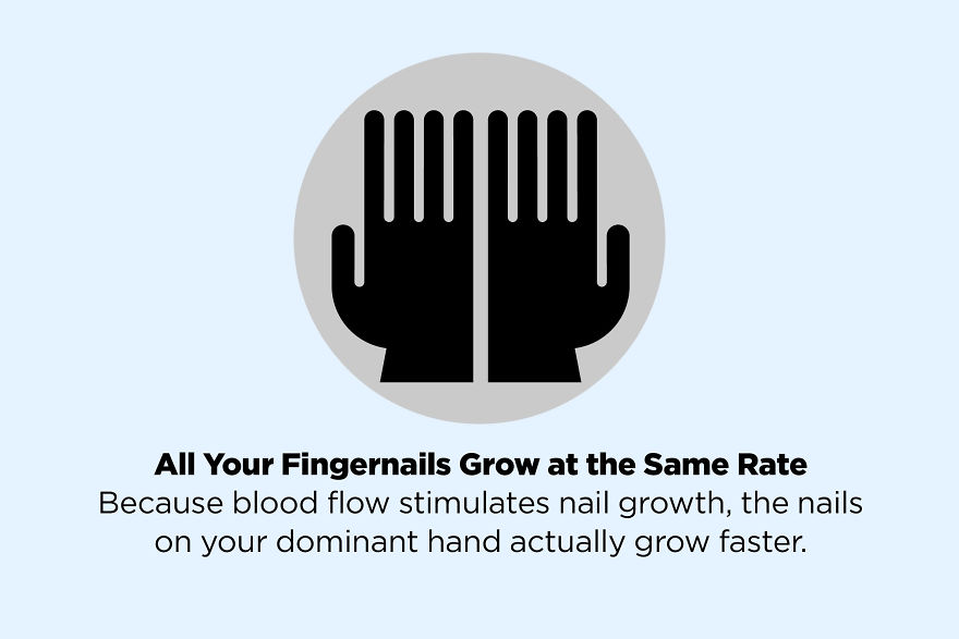 50 Facts That Are Not True