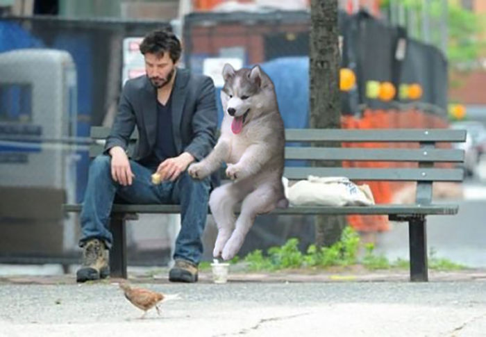 Sometimes, You Need A Friend.