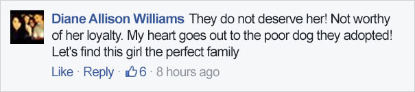 shelter-dog-old-family-new-zuzu-11