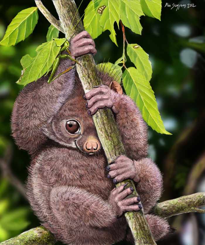 Realistic-animal-drawings-psithyrus-blair-sampson