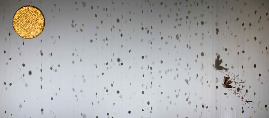 Icarus Realized - An Organics Based Installation In Response To Fermi's Paradox