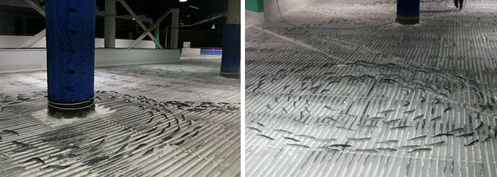 skating-rink-freeze-fish-ice-japan-2