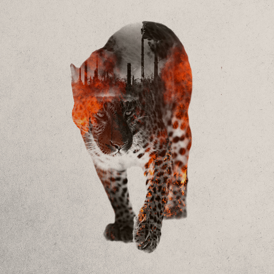 I Combine Animals And Landscapes In My Double Exposure Artwork