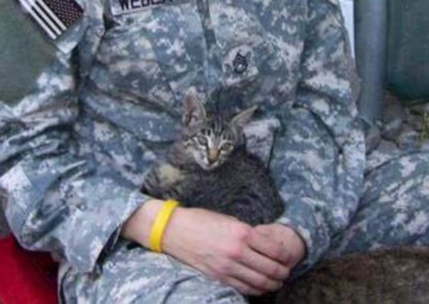 soldier-refuses-leaving-special-needs-kitten-afghanistan-3 soldier-refuses-leaving-special-needs-kitten-afghanistan-3