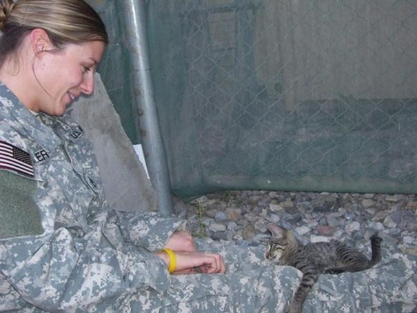 soldier-refuses-leaving-special-needs-kitten-afghanistan-4 soldier-refuses-leaving-special-needs-kitten-afghanistan-4