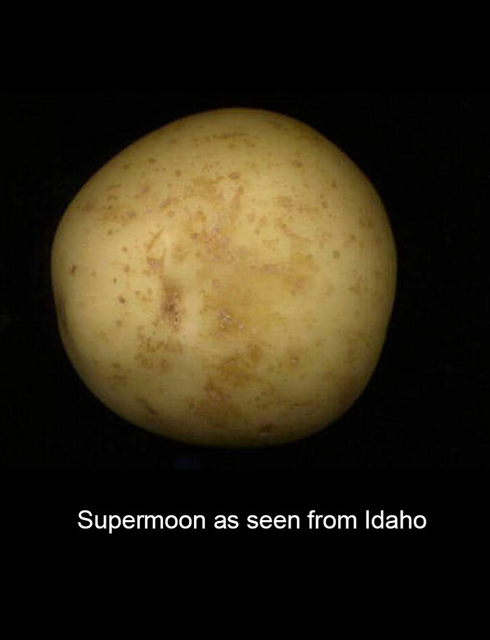 Supermoon Memes