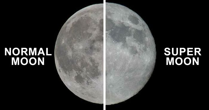 76 Hilarious Reactions To The Disappointing Supermoon