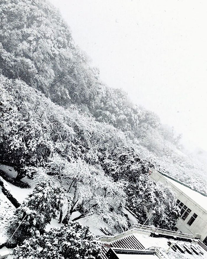 Tokyo First Snow In November 2016