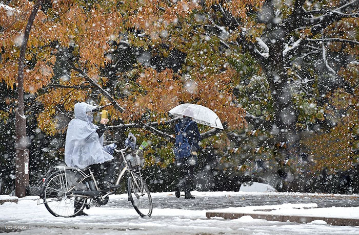 Tokyo First Snow In November 2016