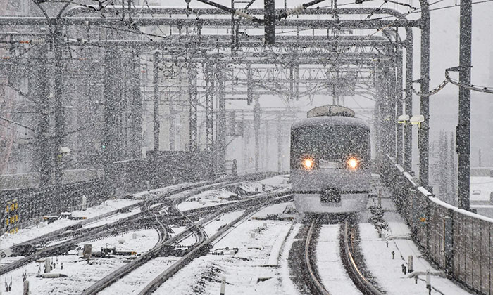 Tokyo First Snow In November 2016