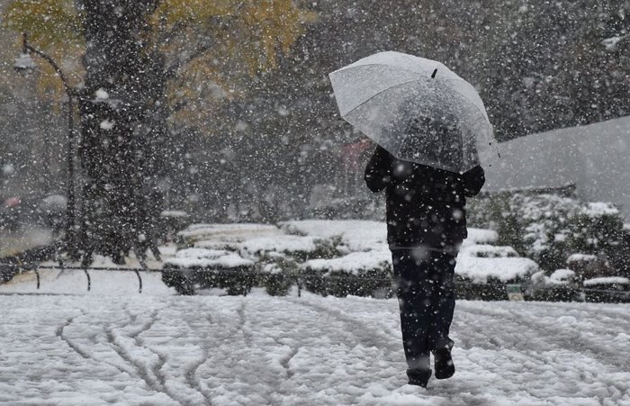Tokyo First Snow In November 2016