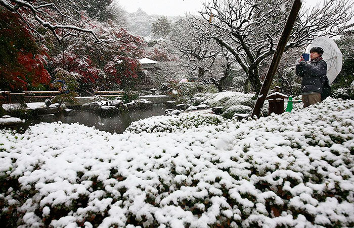 Tokyo First Snow In November 2016