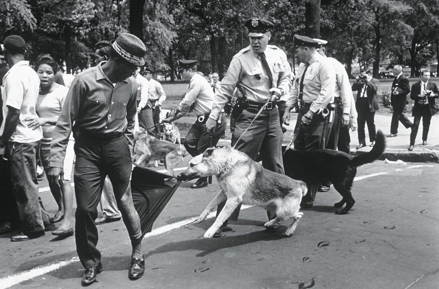 Civil rights protest with police and dogs, iconic historical moment.